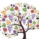 Pre-K/K Drop-Off Program: Tu BiShvat