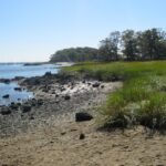 Rosh Hashanah Nature Walk
